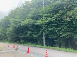 吾妻郡嬬恋村大字鎌原鬼の泉水